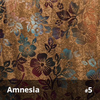Amnesia 5